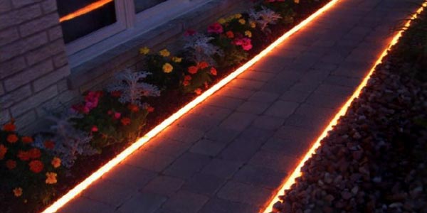 Дом в миллион цветов